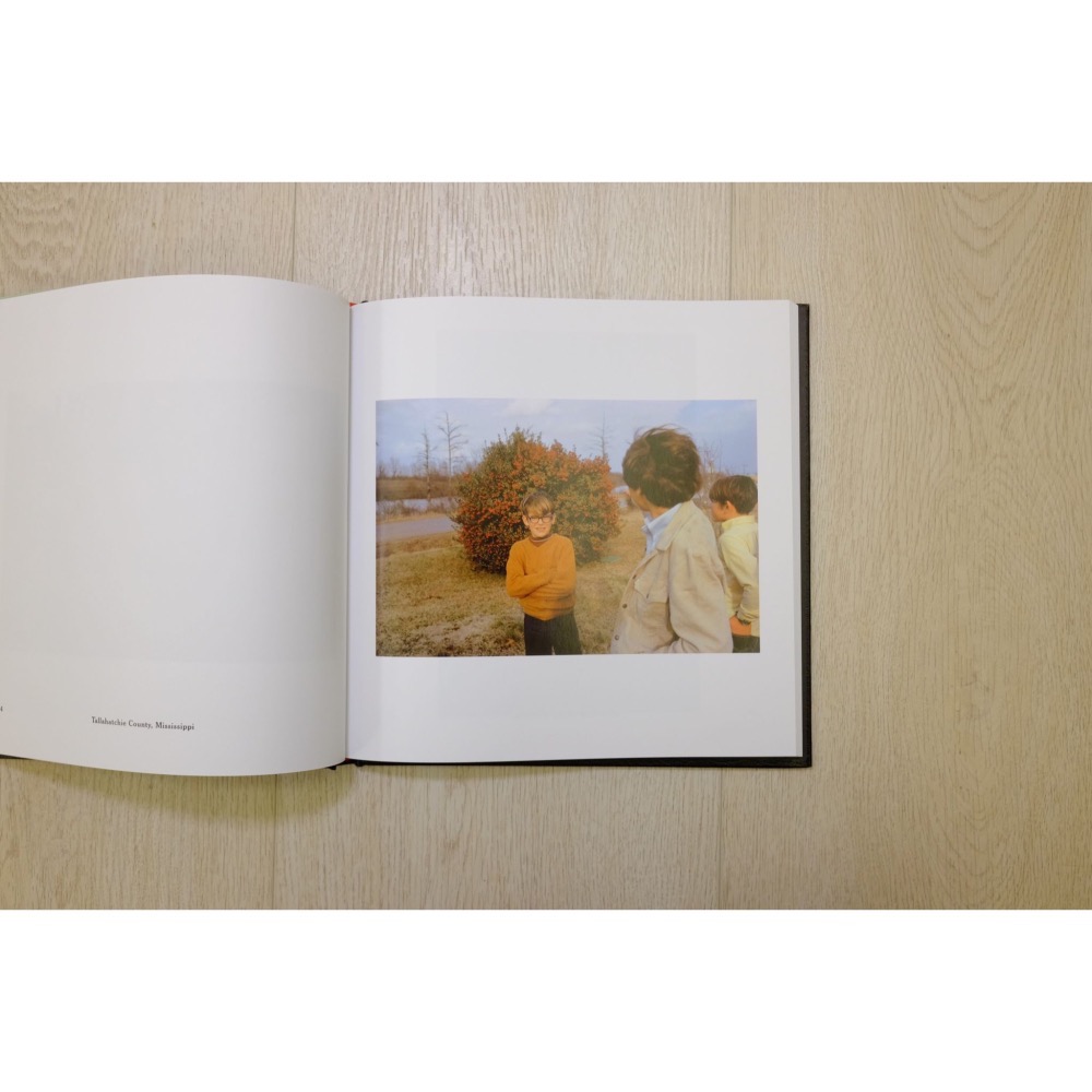 William Eggleston＇s Guide B874.WE39.3782-細節圖4
