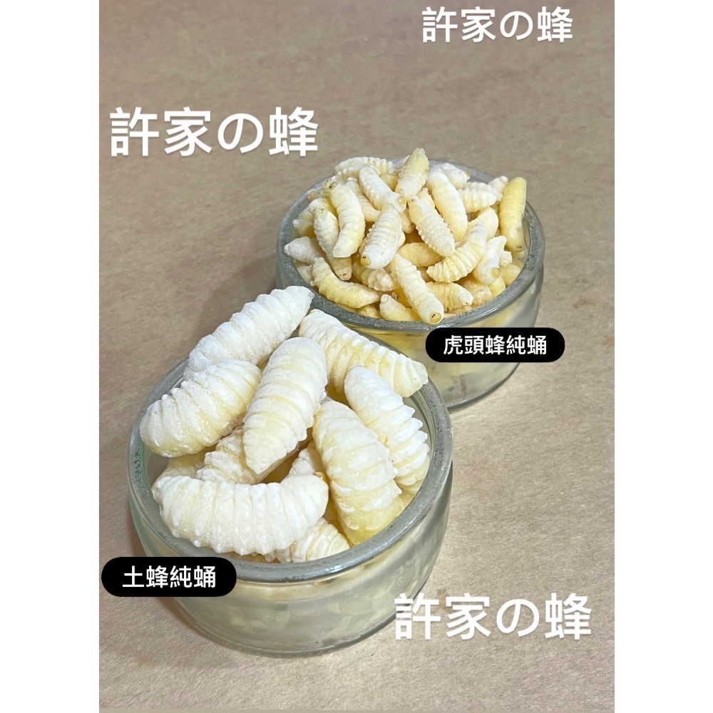 （生的）冷凍的土蜂蛹來了❗️黑肚蛹 純白蛹 成型蛹 蜜袋鼯 蜥蜴 守宮 寵物的最愛-規格圖4