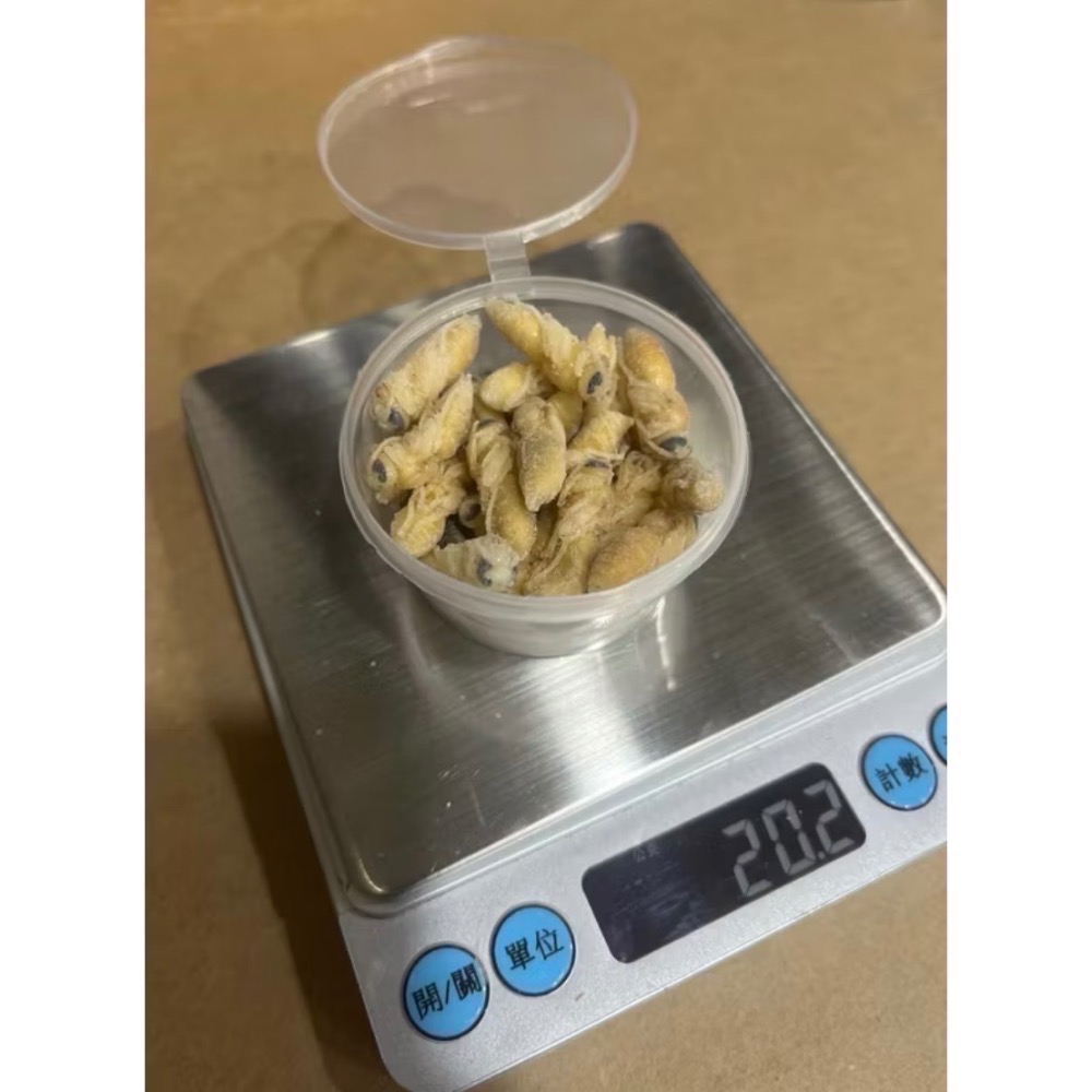 （生的）小包裝試吃盒 冷凍虎頭蜂蜂蛹 純白蛹 成型蛹 蜜袋鼯 刺蝟 蜥蜴 守宮的最愛 小寵物的零食-細節圖4
