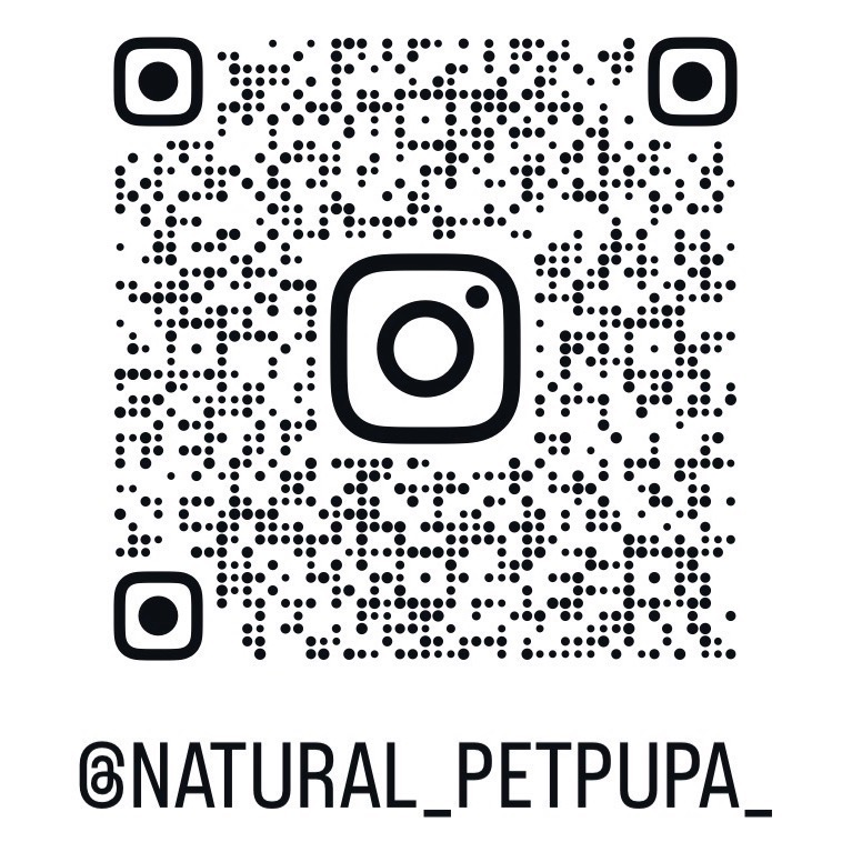 （生的）冷凍大克數虎頭蜂蛹 土蜂蛹 蜜袋鼯 刺蝟 守宮 螞蟻 老鼠 狐蒙 鳥類-細節圖5