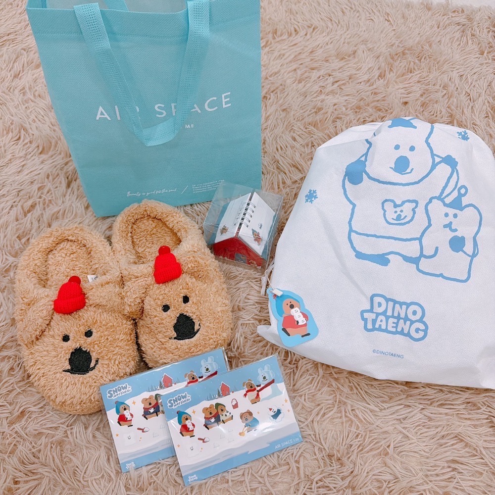 AIR SPACE快閃活動大禮包聯名DINOTAENG造型絨毛拖鞋-細節圖2