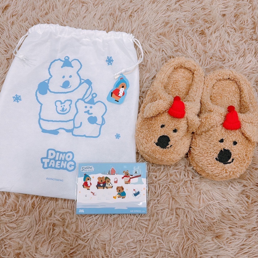 AIR SPACE 聯名DINOTAENG造型絨毛拖鞋組-細節圖2