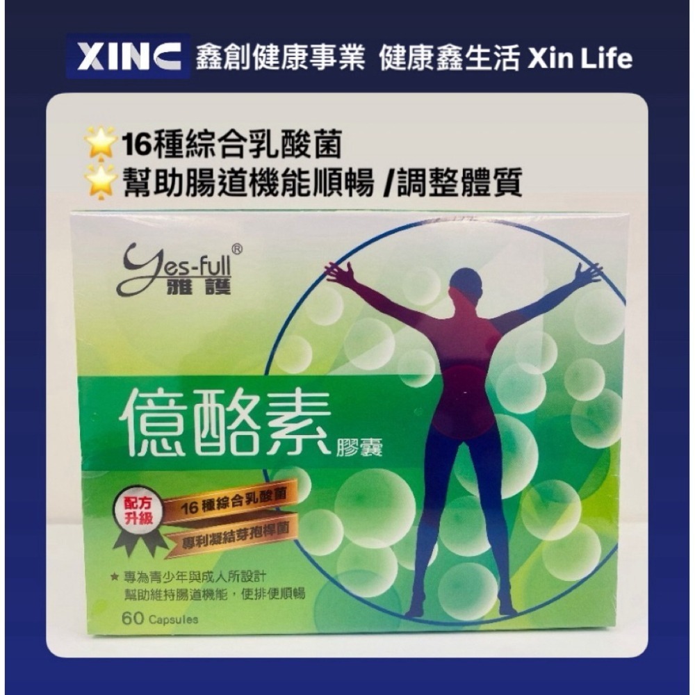🌟16種綜合乳酸菌 🌟幫助腸道機能順暢/億酪素膠囊 益生菌(60粒/盒) 🌟調整體質 🌟專利凝結芽孢桿菌-細節圖2