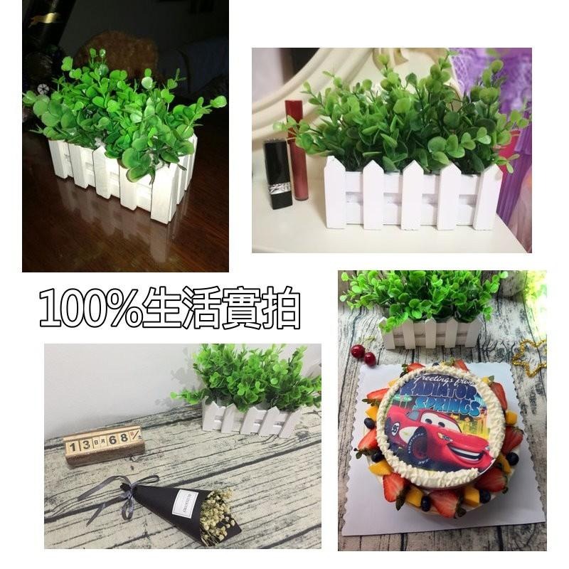 【台灣現貨免等】📣尤加利柵欄花組🎊木質飾品拍照道具拍攝背景擺件裝飾拍照道具IG雜貨Zakka星空化妝品保養品食物療癒-細節圖6