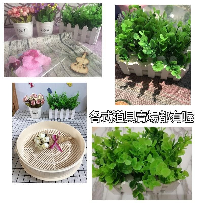 【台灣現貨免等】📣尤加利柵欄花組🎊木質飾品拍照道具拍攝背景擺件裝飾拍照道具IG雜貨Zakka星空化妝品保養品食物療癒-細節圖9