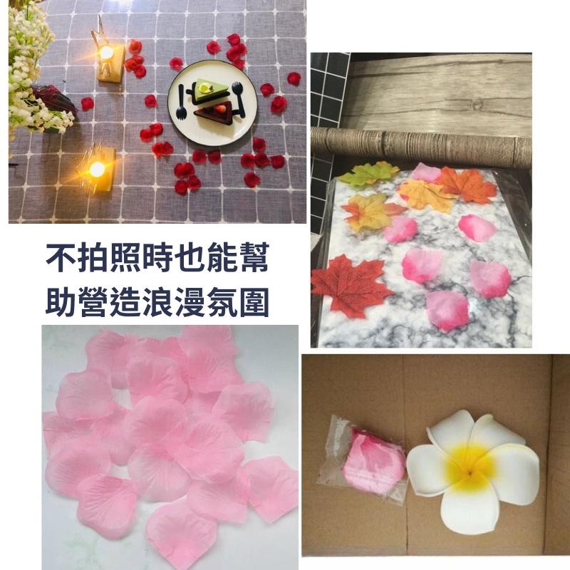 【台灣現貨免等】📣絹布仿真花瓣🎊仿真花永生花拍攝背景擺件裝飾拍照道具IG雜貨小物Zakka飾品化妝品保養品食物拍照-細節圖6