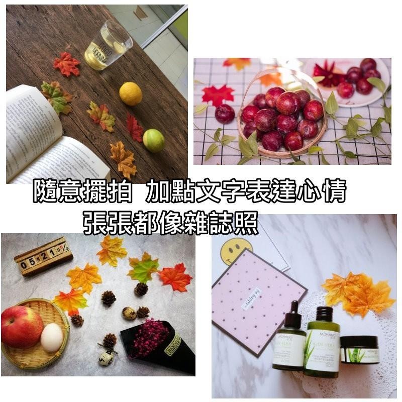 【台灣現貨24H內寄出】📣仿真楓葉🎊質感絹布拍攝背景擺件裝飾拍照道具IG雜貨Zakka飾品化妝品保養品食物拍照假楓葉-細節圖6