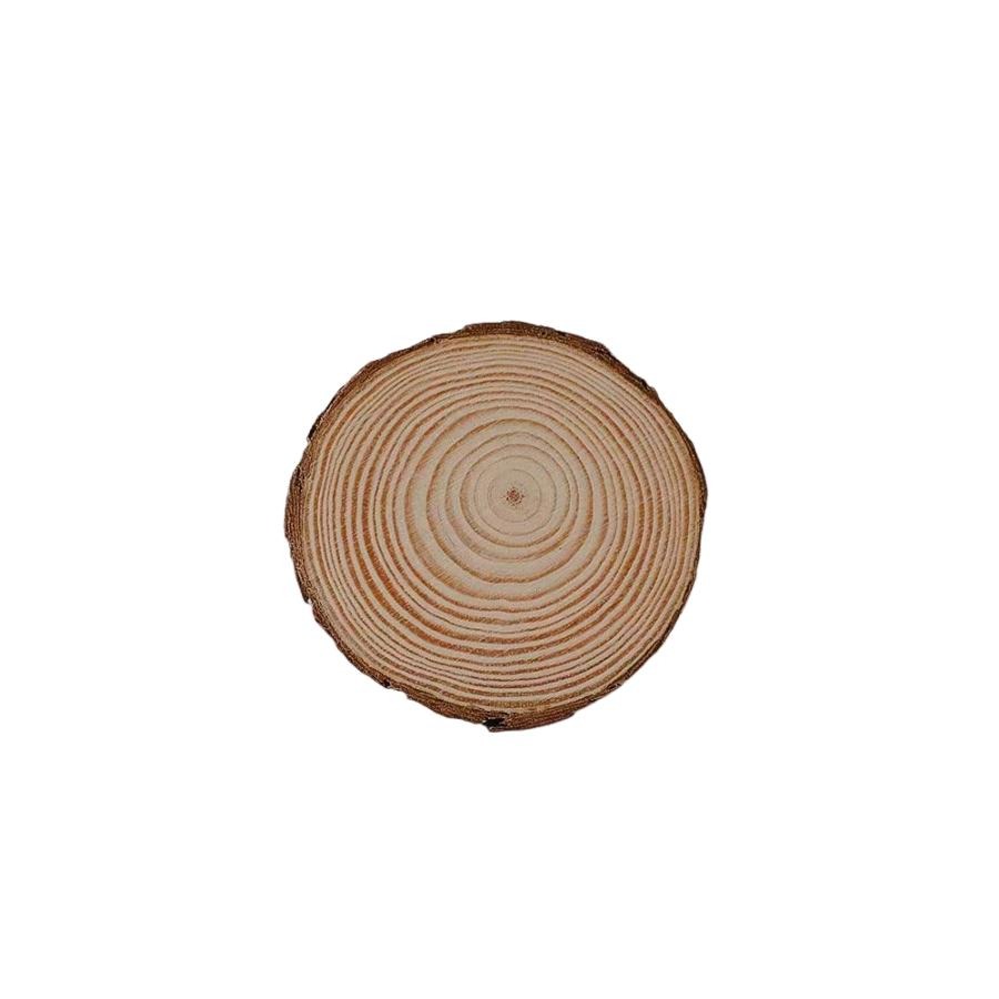 【台灣現貨24H內寄出】📣圓木片🎊拍攝背景擺件裝飾拍照道具IG雜貨小物Zakka飾品化妝品保養品食物拍照天然原木塊-細節圖2