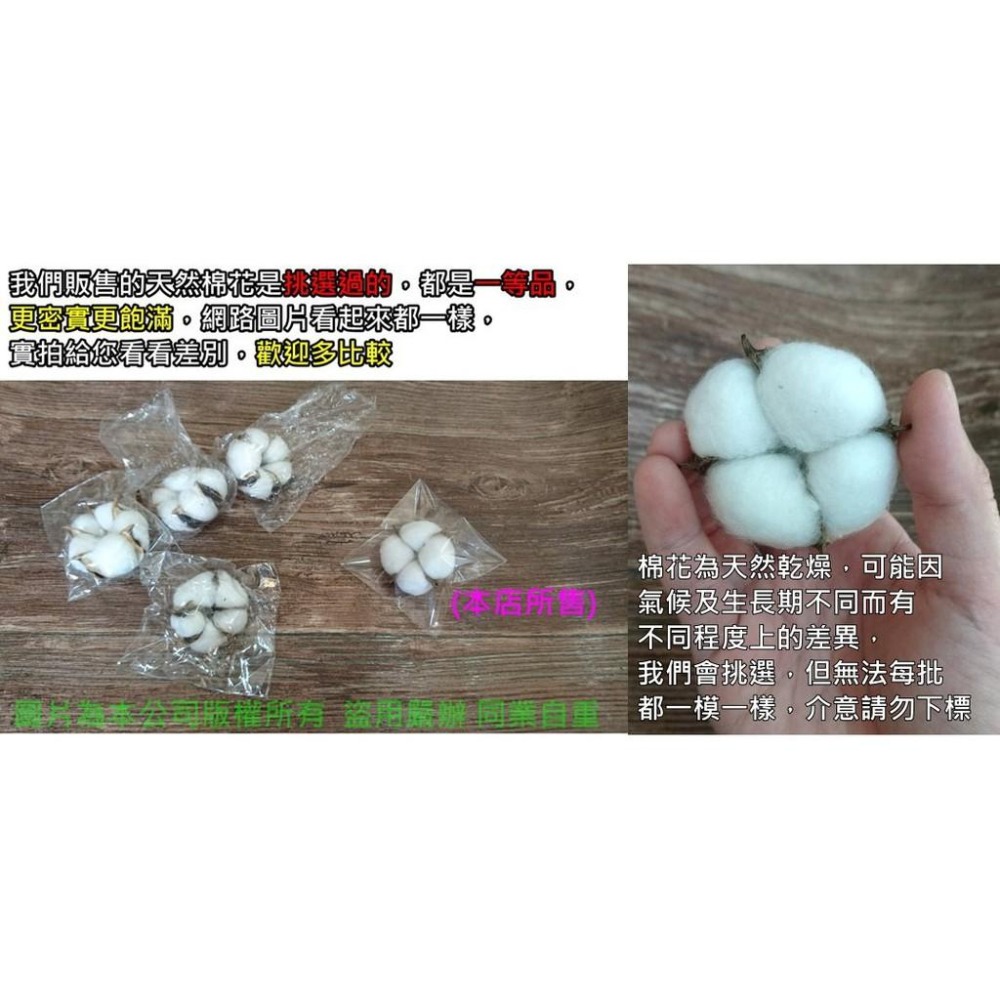【台灣現貨24H內寄出】📣天然棉花🎊拍攝背景桿子棉花擺件裝飾拍照道具IG雜貨小物Zakka飾品化妝品保養品食物天然-細節圖3