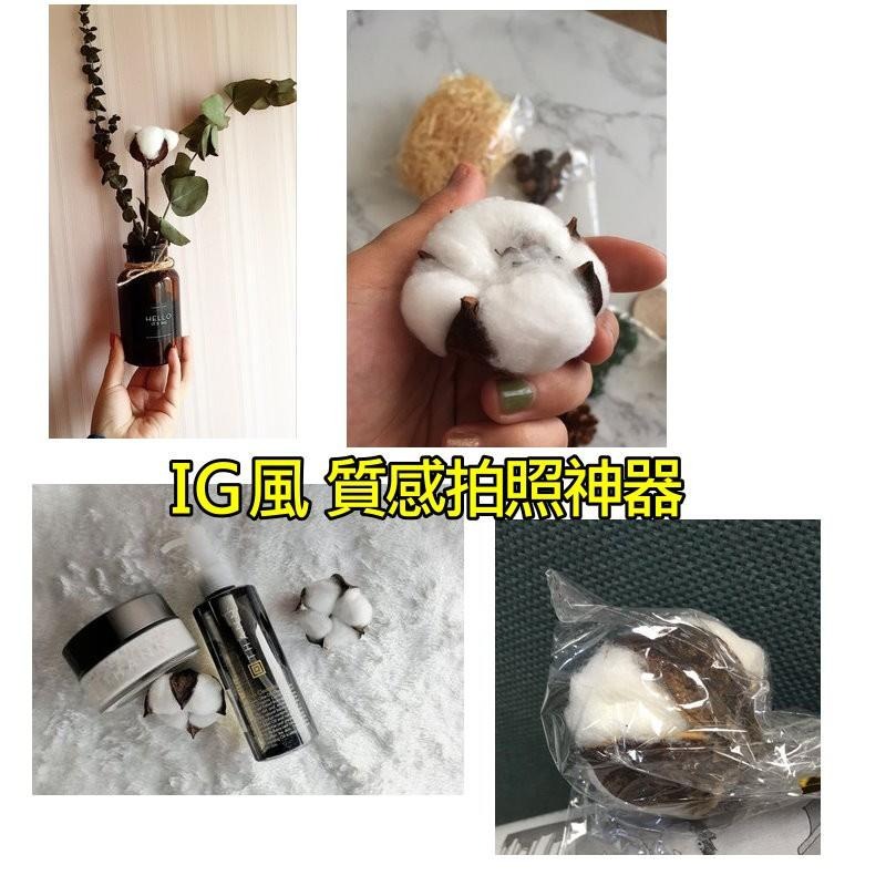 【台灣現貨24H內寄出】📣天然棉花🎊拍攝背景桿子棉花擺件裝飾拍照道具IG雜貨小物Zakka飾品化妝品保養品食物天然-細節圖5