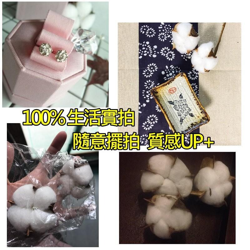 【台灣現貨24H內寄出】📣天然棉花🎊拍攝背景桿子棉花擺件裝飾拍照道具IG雜貨小物Zakka飾品化妝品保養品食物天然-細節圖7