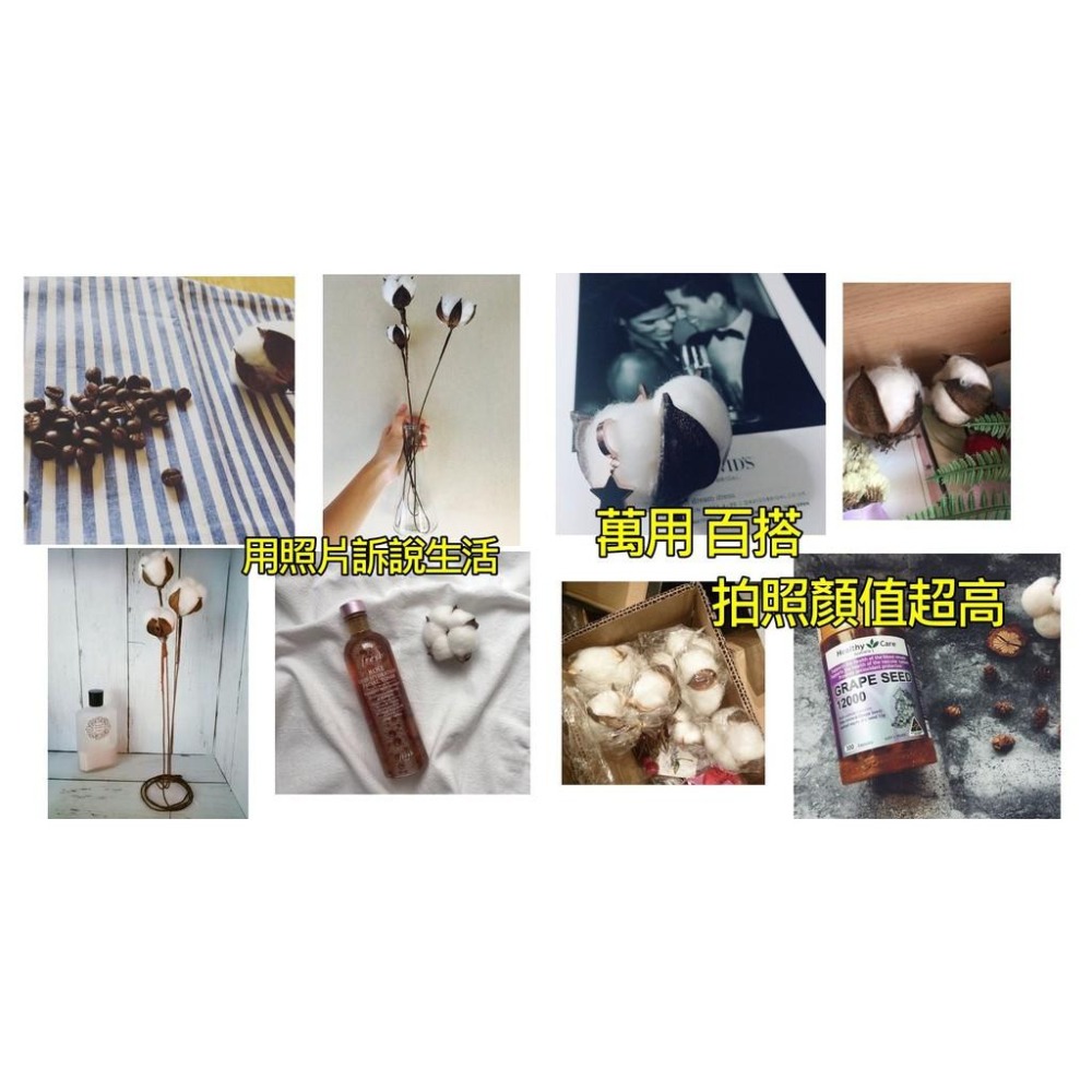 【台灣現貨24H內寄出】📣天然棉花🎊拍攝背景桿子棉花擺件裝飾拍照道具IG雜貨小物Zakka飾品化妝品保養品食物天然-細節圖9
