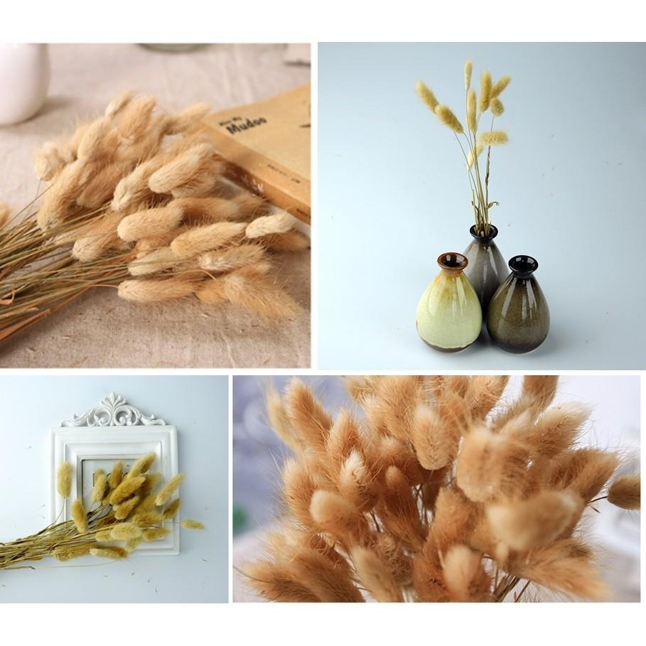 【台灣現貨24H內寄】📣兔尾草狗尾巴🎊木質飾品拍照道具拍攝背景擺件裝飾拍照道具雜貨Zakka星空化妝品保養品食物療癒-細節圖3