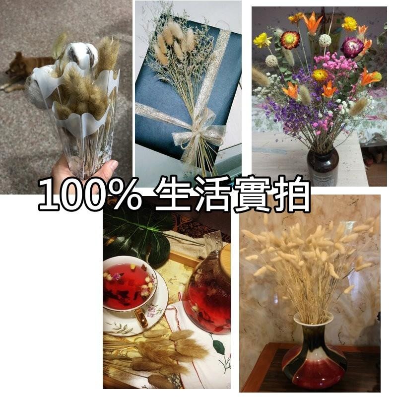 【台灣現貨24H內寄】📣兔尾草狗尾巴🎊木質飾品拍照道具拍攝背景擺件裝飾拍照道具雜貨Zakka星空化妝品保養品食物療癒-細節圖4