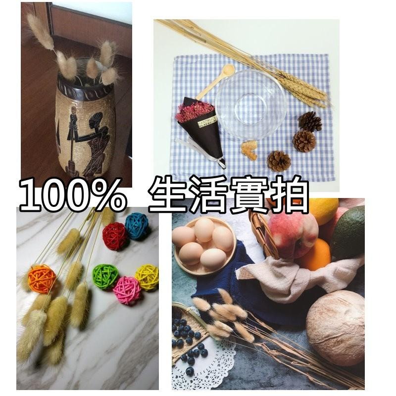 【台灣現貨24H內寄】📣兔尾草狗尾巴🎊木質飾品拍照道具拍攝背景擺件裝飾拍照道具雜貨Zakka星空化妝品保養品食物療癒-細節圖7