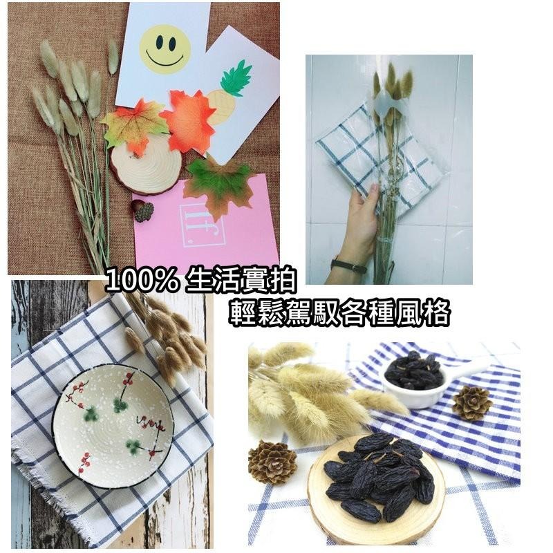 【台灣現貨24H內寄】📣兔尾草狗尾巴🎊木質飾品拍照道具拍攝背景擺件裝飾拍照道具雜貨Zakka星空化妝品保養品食物療癒-細節圖9