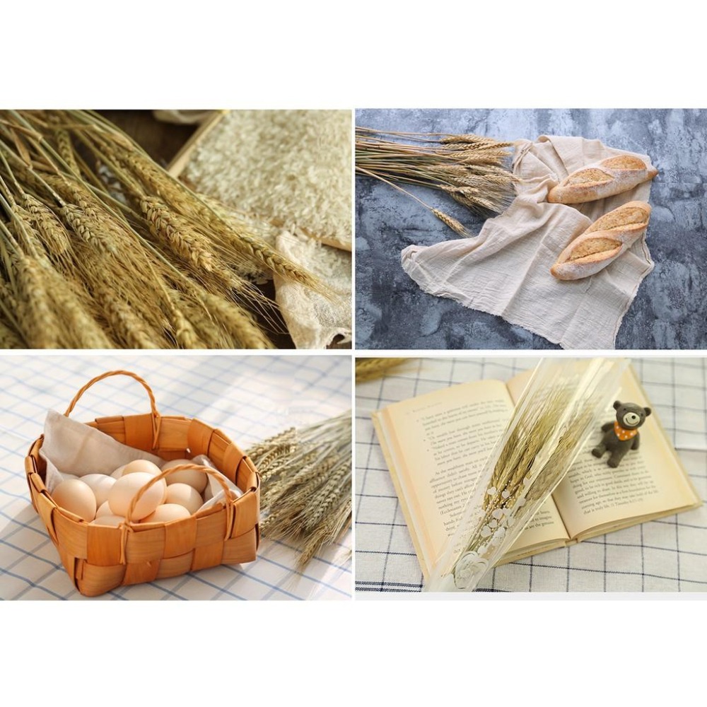 【台灣現貨24H內寄】📣乾燥天然麥穗🎊木質飾品拍照道具拍攝背景擺件裝飾拍照道具雜貨Zakka星空化妝品保養品食物療癒-細節圖3