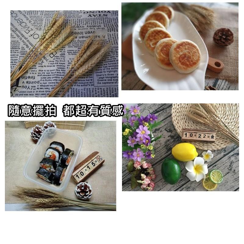 【台灣現貨24H內寄】📣乾燥天然麥穗🎊木質飾品拍照道具拍攝背景擺件裝飾拍照道具雜貨Zakka星空化妝品保養品食物療癒-細節圖5