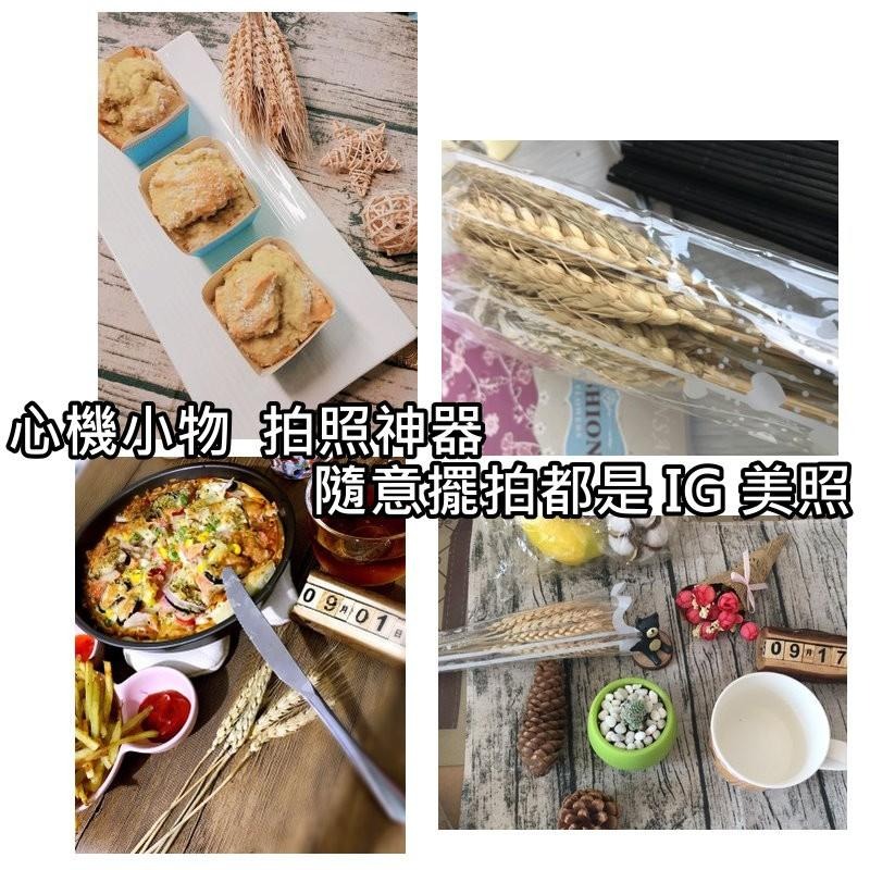 【台灣現貨24H內寄】📣乾燥天然麥穗🎊木質飾品拍照道具拍攝背景擺件裝飾拍照道具雜貨Zakka星空化妝品保養品食物療癒-細節圖6