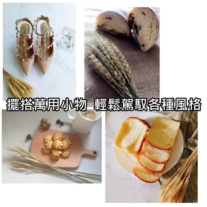 【台灣現貨24H內寄】📣乾燥天然麥穗🎊木質飾品拍照道具拍攝背景擺件裝飾拍照道具雜貨Zakka星空化妝品保養品食物療癒-細節圖7