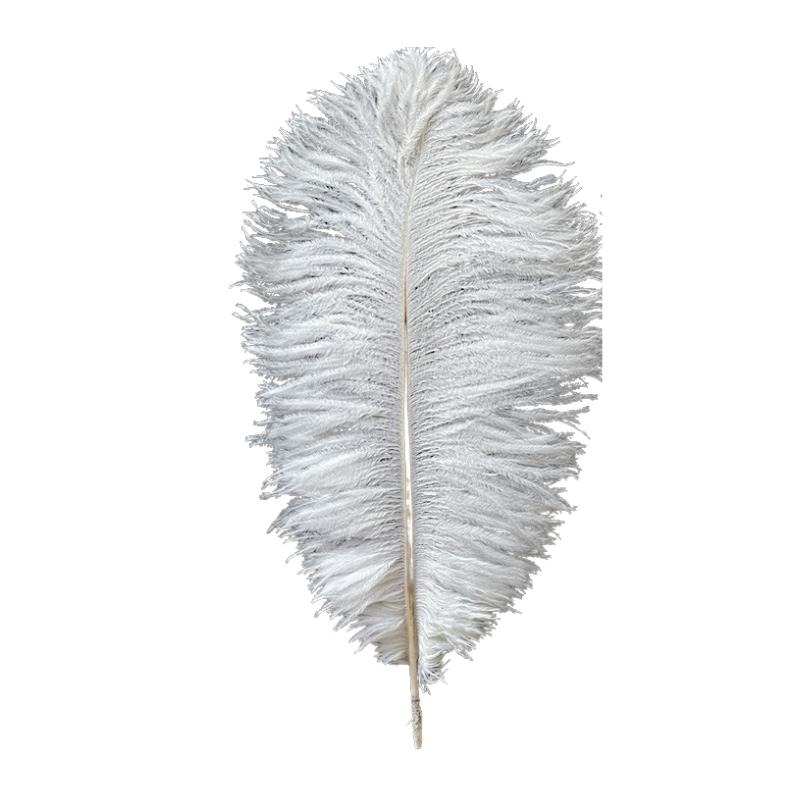 【台灣現貨免等】天然羽毛🎊拍攝背景白色羽毛擺件裝飾拍照道具IG美拍雜貨小物Zakka飾品化妝品保養品食物天然鴕鳥毛白毛-細節圖2