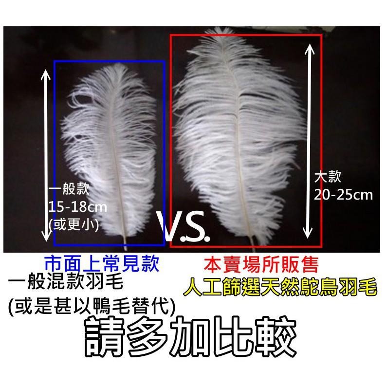 【台灣現貨免等】天然羽毛🎊拍攝背景白色羽毛擺件裝飾拍照道具IG美拍雜貨小物Zakka飾品化妝品保養品食物天然鴕鳥毛白毛-細節圖3