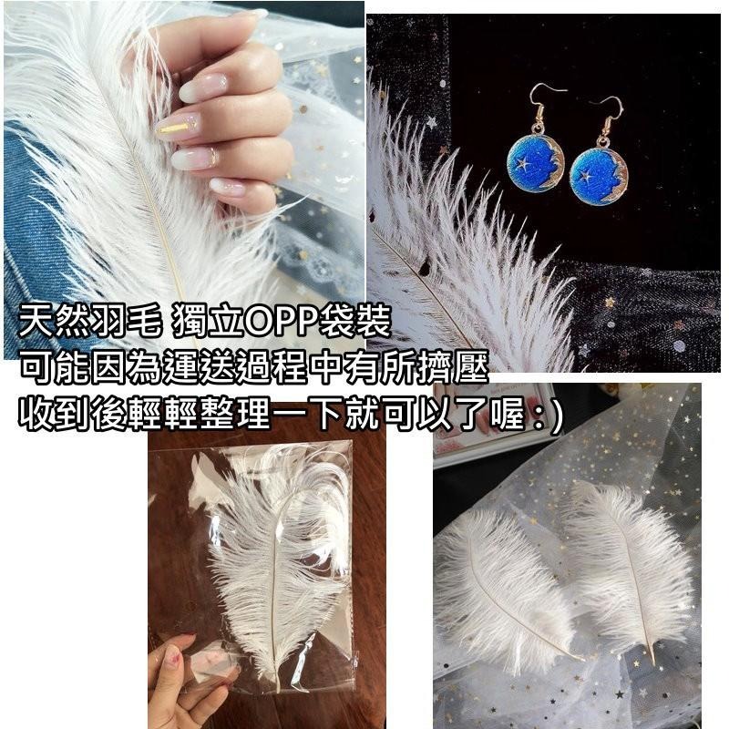 【台灣現貨免等】天然羽毛🎊拍攝背景白色羽毛擺件裝飾拍照道具IG美拍雜貨小物Zakka飾品化妝品保養品食物天然鴕鳥毛白毛-細節圖6