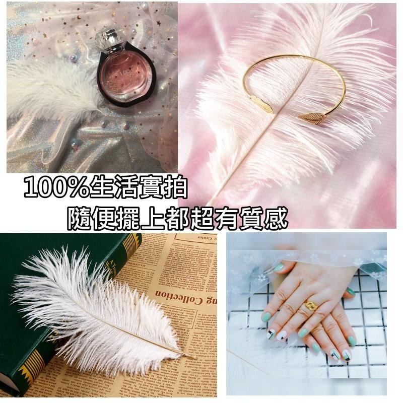【台灣現貨免等】天然羽毛🎊拍攝背景白色羽毛擺件裝飾拍照道具IG美拍雜貨小物Zakka飾品化妝品保養品食物天然鴕鳥毛白毛-細節圖9