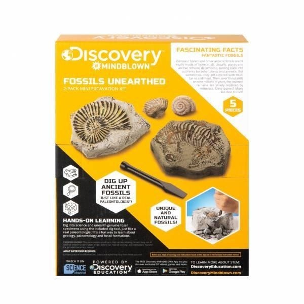 Discovery 迷你挖掘套組-遠古化石 太空寶石 鯊魚牙齒 神秘寶藏-細節圖3