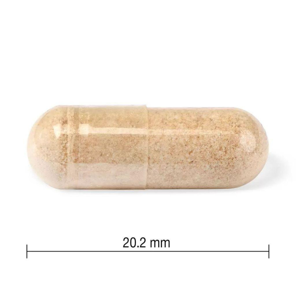 特價【Costco好市多代購】Youtheory 南非醉茄萃取膠囊 150粒 幫助入睡 健康維持 美國製 最新效期-細節圖3