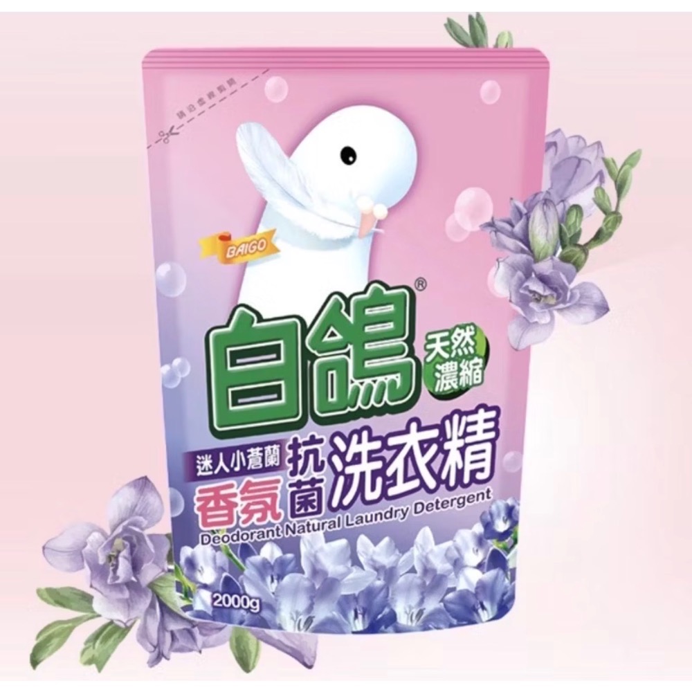 小蒼蘭