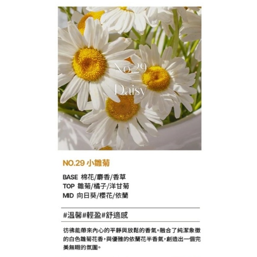現貨🐯HETRAS首席調香師擴香 500ml 2入/組 NO.29 Daisy｜柔白小雛菊-細節圖2