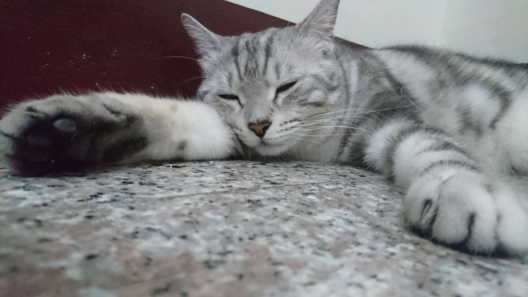 CP最高超黏奇星膠帶☆萬德~神鷹頂級膠帶★MIT台灣製造（711.萊爾富.全家!!!最多30顆）保證足米不偷料網拍必備-細節圖7