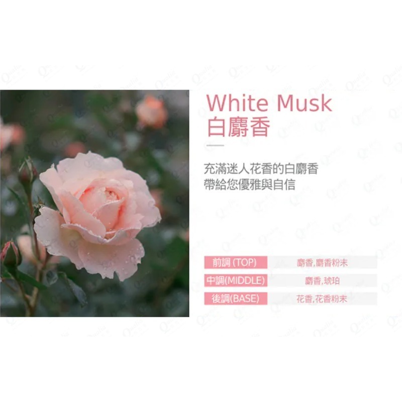 Bouquet Garni 璞珈妮香水沐浴露(1000ml)-細節圖5