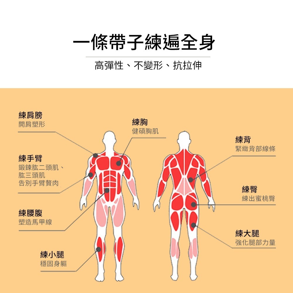 【NORDITION】15磅 多功能環狀阻力帶 ◆台灣製 拉力帶-細節圖5