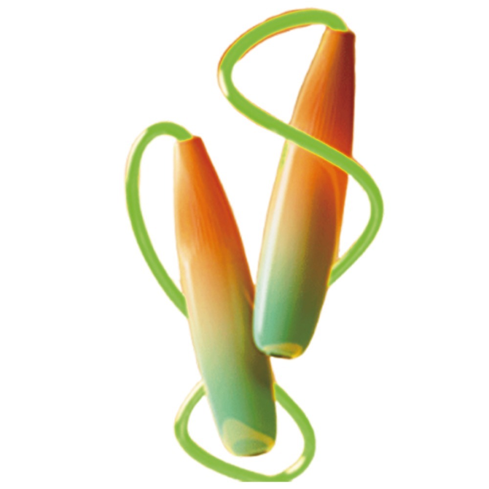 【NORDITION】發光跳繩◆ 花式跳繩 兒童 學生 健身訓練-規格圖9