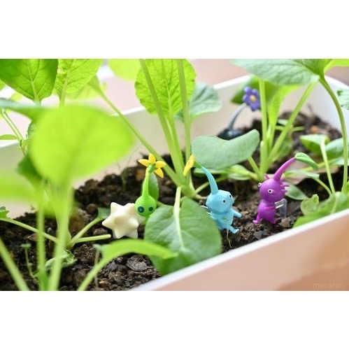 【預購】任天堂 Nintendo 皮克敏 Pinkmin 巧克力蛋 盲盒公仔-細節圖5