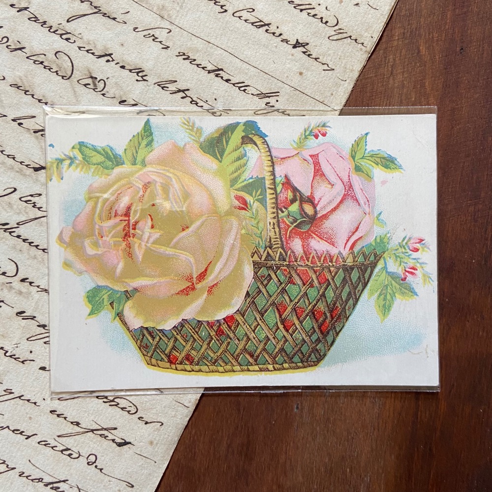 美國 1902-1906s 古董剪貼卡 花卉植物款┃美國古董 手帳素材 手作素材 拼貼素材 古董紙品 復古紙品 拍照小物-規格圖4