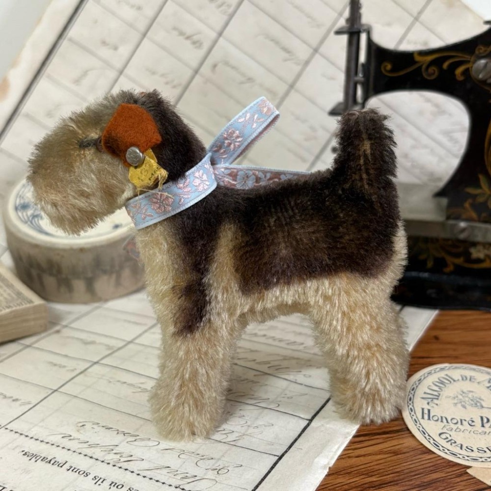 德國 Steiff 1951-1957s 站姿萬能㹴┃復古雜貨 老玩具 金耳扣 泰迪熊配件 小布 BJD 絨毛玩具 娃娃-細節圖4