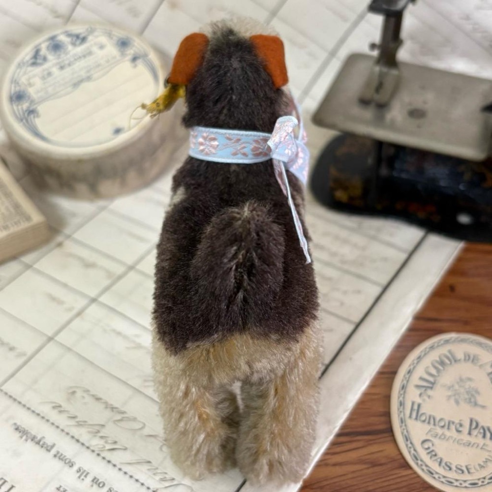 德國 Steiff 1951-1957s 站姿萬能㹴┃復古雜貨 老玩具 金耳扣 泰迪熊配件 小布 BJD 絨毛玩具 娃娃-細節圖6