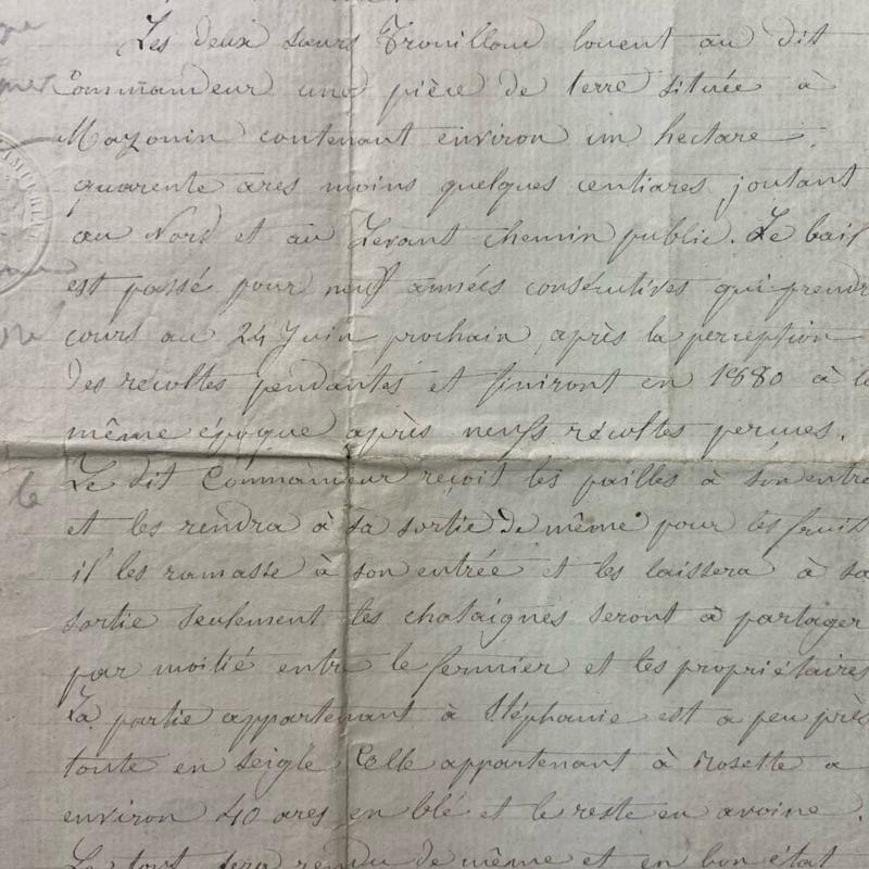 ━ 法國 1869年公證檔案T ━ 手帳素材 手作素材 拼貼素材 復古素材 古董紙品 復古紙品 歐洲古董 拍照背景 空間-細節圖3