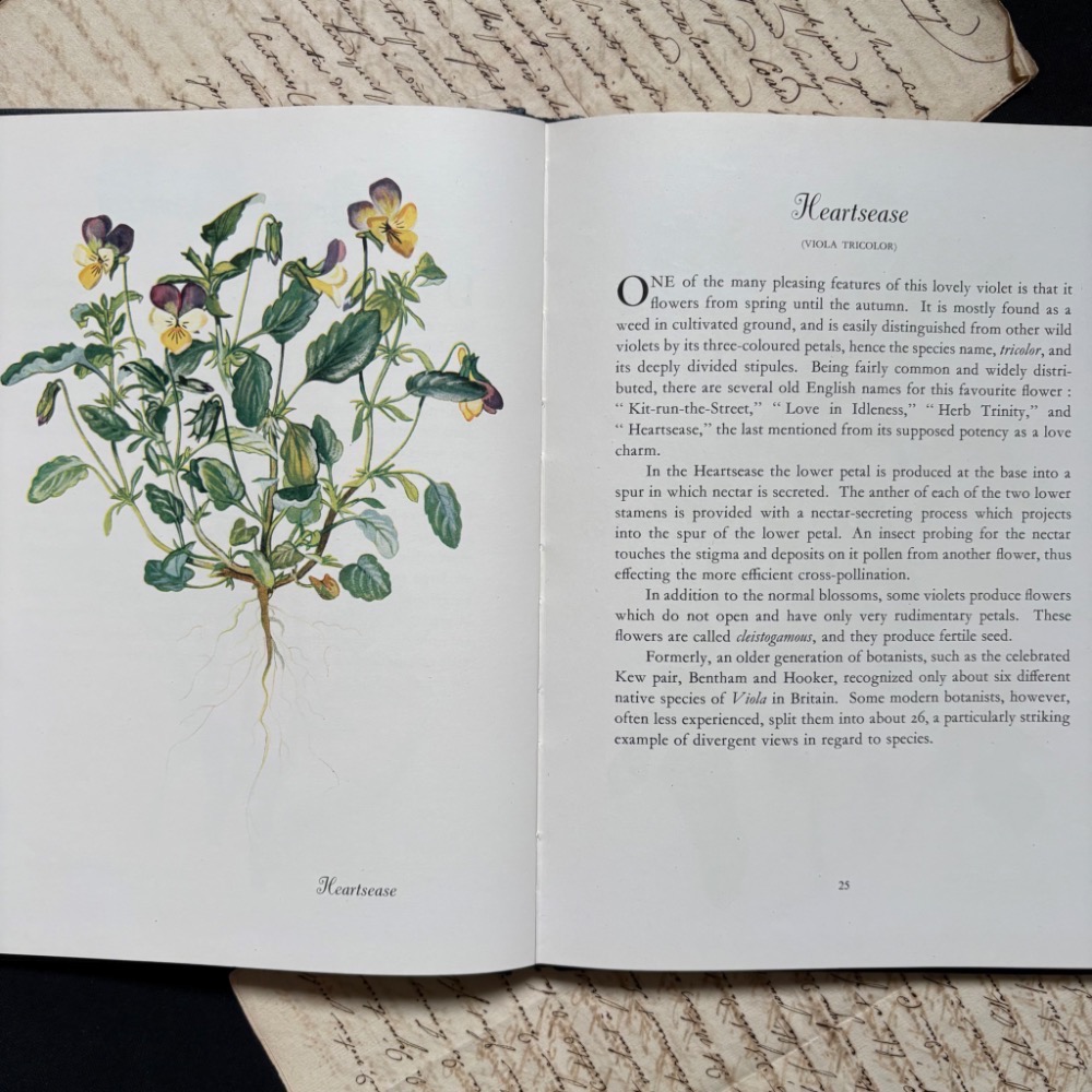 英國 復古野花植物圖鑑書┃復古書籍 舊書 古書 老書 老件 植物圖鑑 自然 野花 花卉 花草 森林 擺拍 拍照 古道具-細節圖6