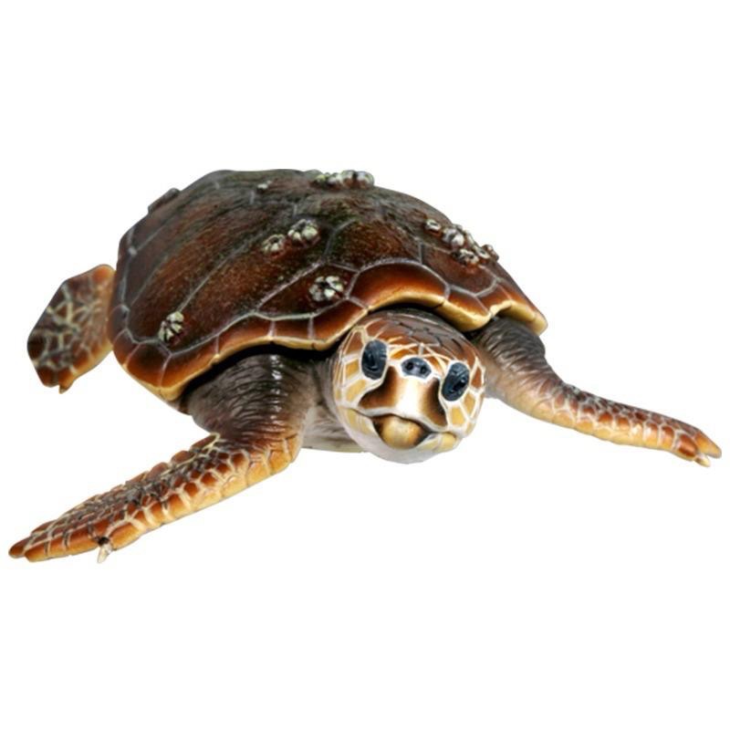 轉蛋 NTC圖鑑-日本烏龜 特裝版-細節圖6