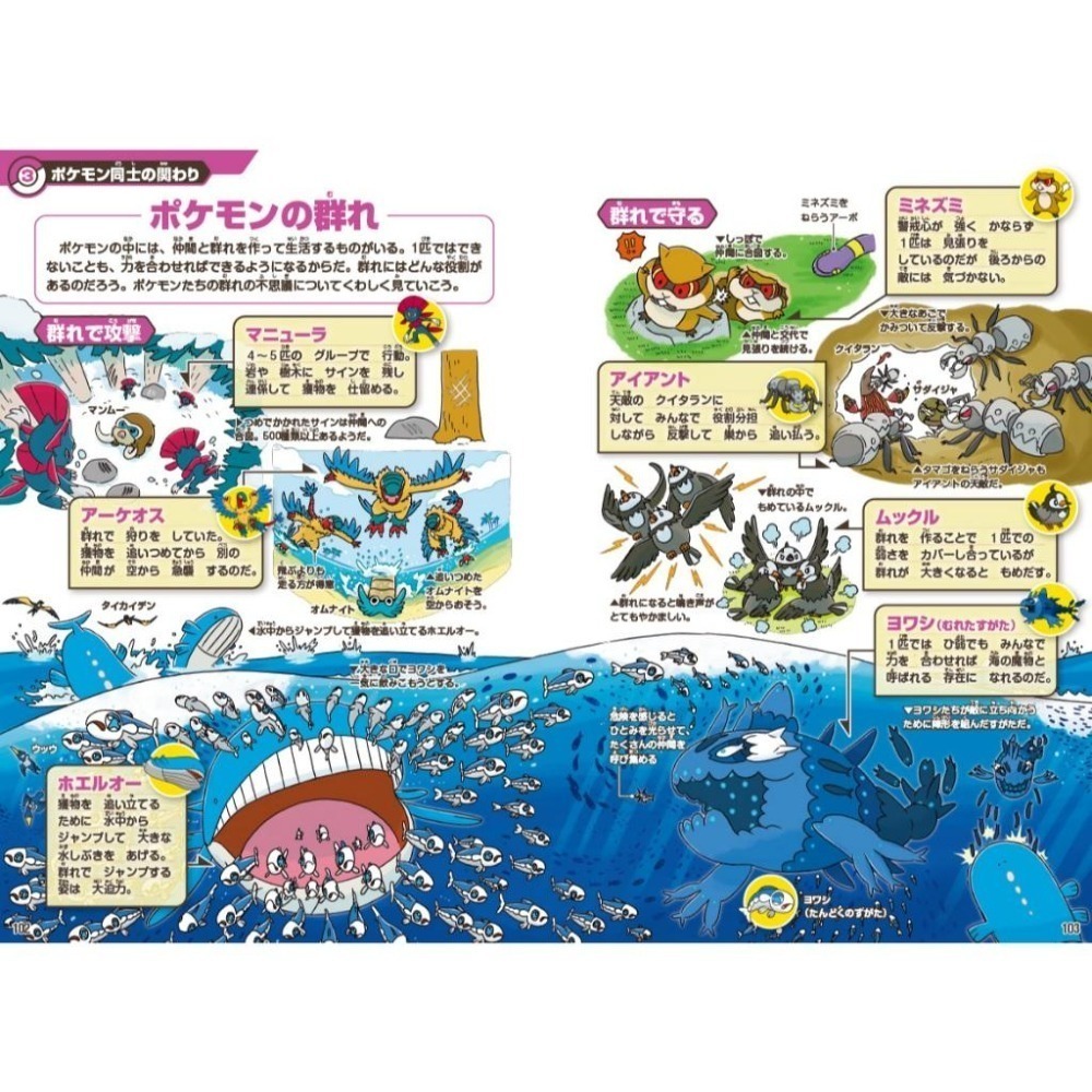 現貨 ✨️附透明書套✨️ 寶可夢生態圖鑑 日文書 ポケモン生態図鑑 寶可夢 圖鑑 日本寶可夢中心-細節圖6