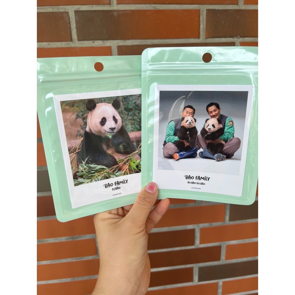 愛寶樂園 福寶周邊 護照套 鑰匙圈 手機支架-細節圖2