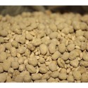 ￼米豆麴 米麴 哪裡買米豆麴 醃鳳梨豆醬 黑豆麴(自製醬油原料)  哪裡買豆腐乳原料 隨貨附發票-規格圖3