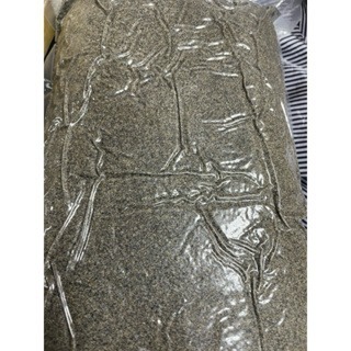 純正黑芝麻粉 一包3000克 哪裡買黑芝麻粉 營業用黑芝麻粉 超取一次一包-細節圖2