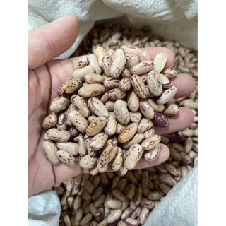 花豆 大紅豆 班豆 哪裡買花豆 冰店用大紅豆 花豆 哪裡買大花豆-細節圖3