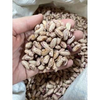 花豆 大紅豆 班豆 哪裡買花豆 冰店用大紅豆 花豆 哪裡買大花豆-細節圖4