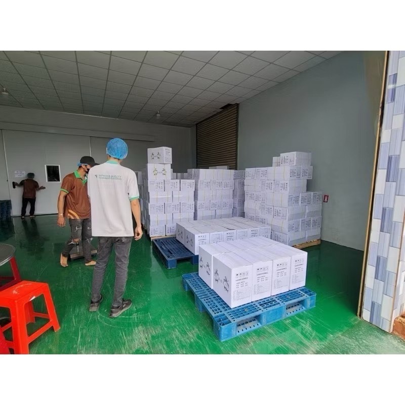 生腰果 板橋買生腰果 有2種規格 生腰果哪裡買 規格2種 一包600公克-細節圖5